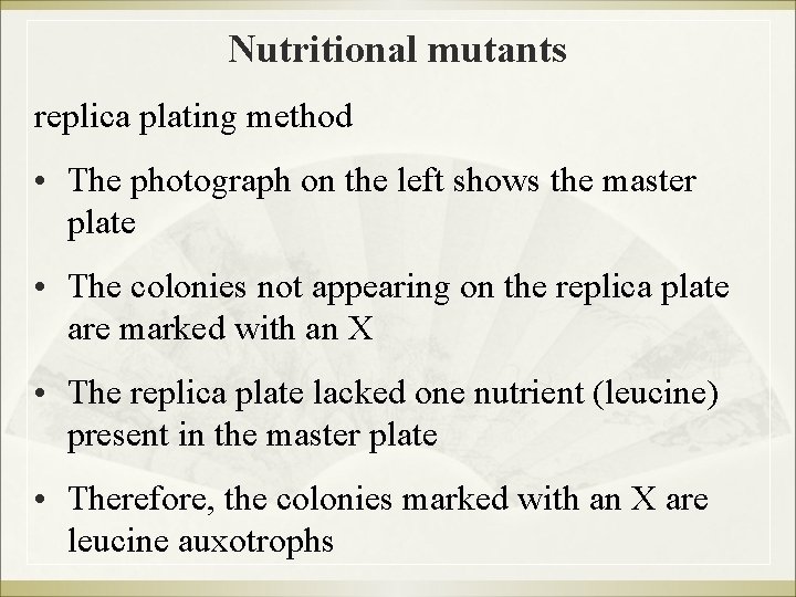 Nutritional mutants replica plating method • The photograph on the left shows the master