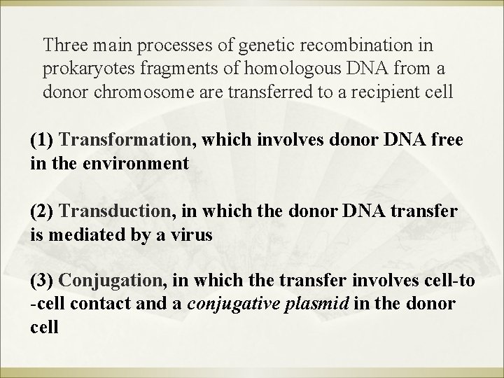 Three main processes of genetic recombination in prokaryotes fragments of homologous DNA from a