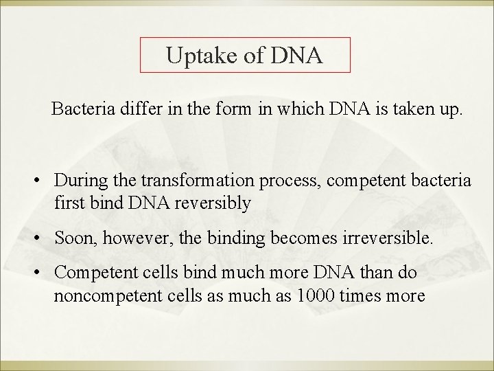 Uptake of DNA Bacteria differ in the form in which DNA is taken up.
