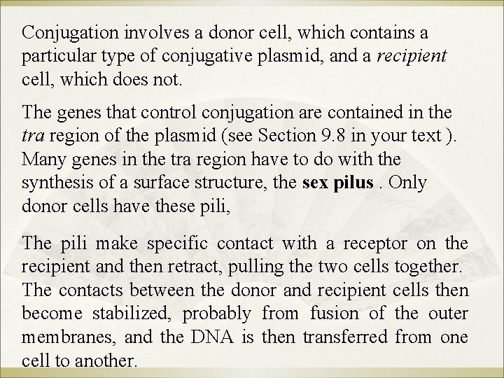 Conjugation involves a donor cell, which contains a particular type of conjugative plasmid, and