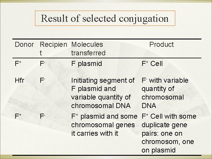 Result of selected conjugation Donor Recipien Molecules t transferred F+ FF plasmid Hfr F-