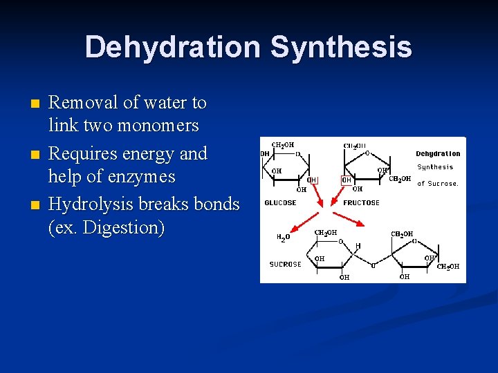 Dehydration Synthesis n n n Removal of water to link two monomers Requires energy
