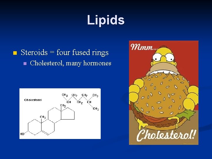 Lipids n Steroids = four fused rings n Cholesterol, many hormones 