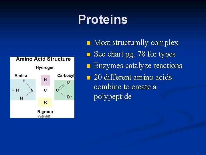 Proteins n n Most structurally complex See chart pg. 78 for types Enzymes catalyze