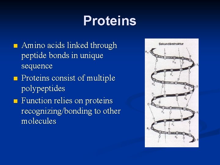 Proteins n n n Amino acids linked through peptide bonds in unique sequence Proteins