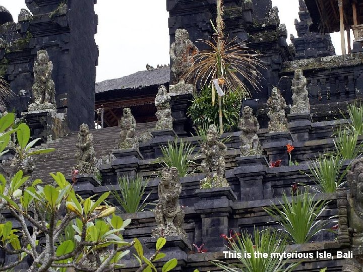 2009. 01. 30. Mother Temple This is the myterious Isle, 24 Bali 