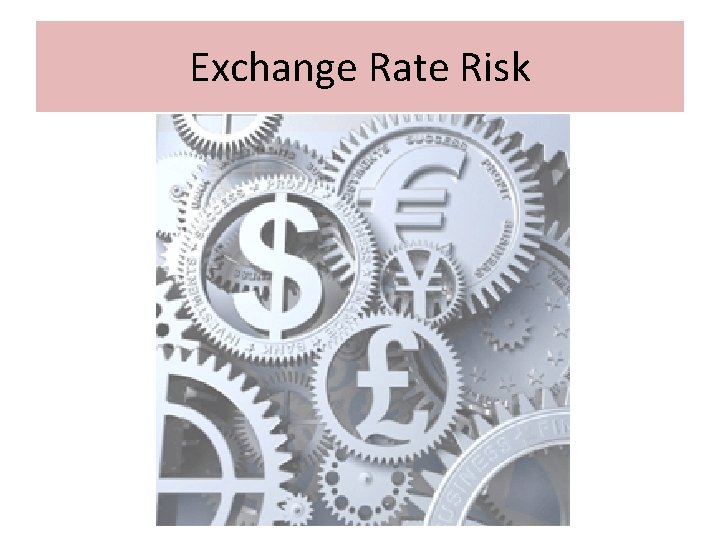 Exchange Rate Risk 