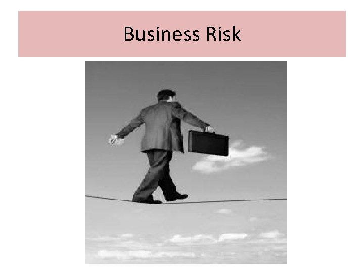 Business Risk 