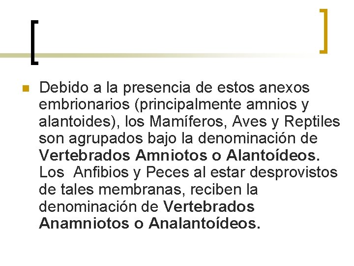 n Debido a la presencia de estos anexos embrionarios (principalmente amnios y alantoides), los