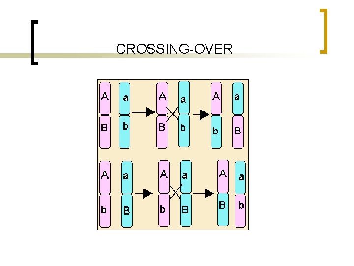 CROSSING-OVER 