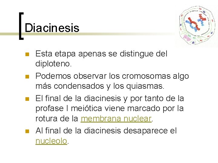 Diacinesis n n Esta etapa apenas se distingue del diploteno. Podemos observar los cromosomas