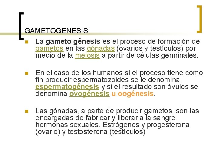 GAMETOGENESIS n La gameto génesis es el proceso de formación de gametos en las