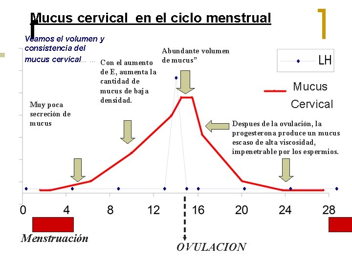 Mucus cervical en el ciclo menstrual Veamos el volumen y consistencia del mucus cervical……
