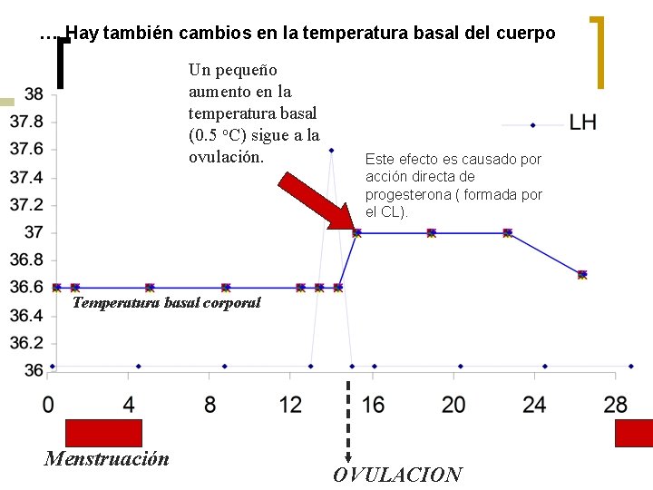 …. Hay también cambios en la temperatura basal del cuerpo Un pequeño aumento en