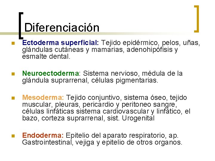 Diferenciación n Ectoderma superficial: Tejido epidérmico, pelos, uñas, glándulas cutáneas y mamarias, adenohipófisis y