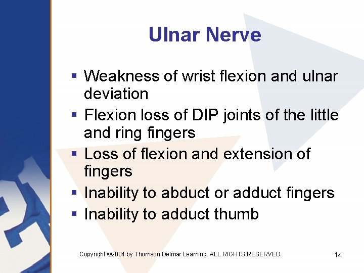 Ulnar Nerve § Weakness of wrist flexion and ulnar deviation § Flexion loss of