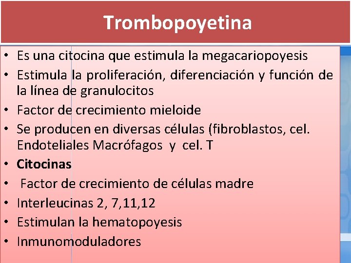  Trombopoyetina • Es una citocina que estimula la megacariopoyesis • Estimula la proliferación,
