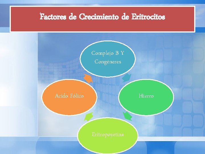 Factores de Crecimiento de Eritrocitos Complejo B Y Congéneres Acido Fólico Hierro Eritropoyetina 