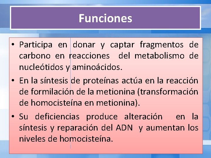 Funciones • Participa en donar y captar fragmentos de carbono en reacciones del metabolismo