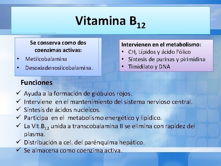 Vitamina B 12 Se conserva como dos coenzimas activas: • Metilcobalamina • Desoxiadenosilcobalamina. Intervienen