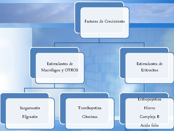 Factores de Crecimiento Estimulantes de Macrófagos y OTROS Estimulantes de Eritrocitos Sargamostin Tromboyetina Filgrastin