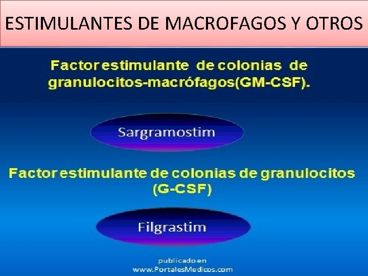 ESTIMULANTES DE MACROFAGOS Y OTROS 