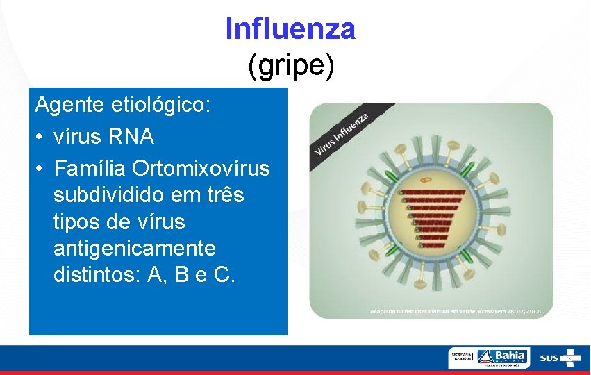 Influenza (gripe) Agente etiológico: • vírus RNA • Família Ortomixovírus subdividido em três tipos