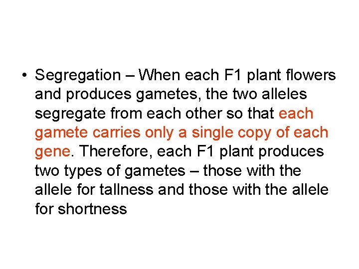  • Segregation – When each F 1 plant flowers and produces gametes, the