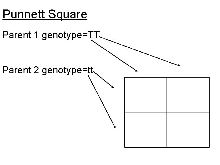 Punnett Square Parent 1 genotype=TT Parent 2 genotype=tt 