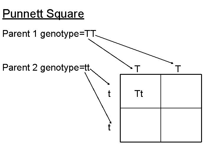 Punnett Square Parent 1 genotype=TT Parent 2 genotype=tt T t t Tt T 