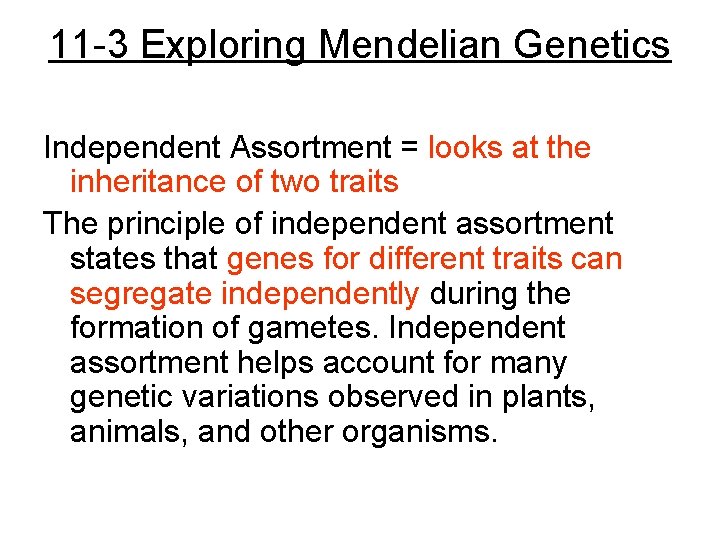 11 -3 Exploring Mendelian Genetics Independent Assortment = looks at the inheritance of two