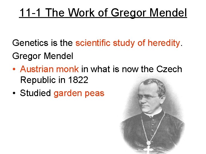 11 -1 The Work of Gregor Mendel Genetics is the scientific study of heredity.