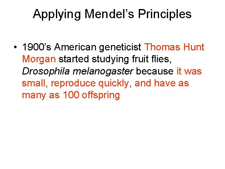 Applying Mendel’s Principles • 1900’s American geneticist Thomas Hunt Morgan started studying fruit flies,