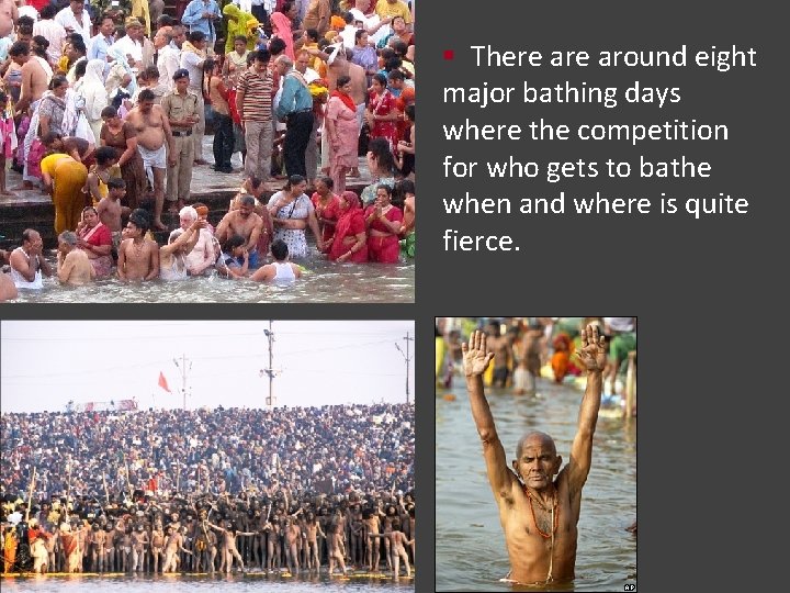 § There around eight major bathing days where the competition for who gets to