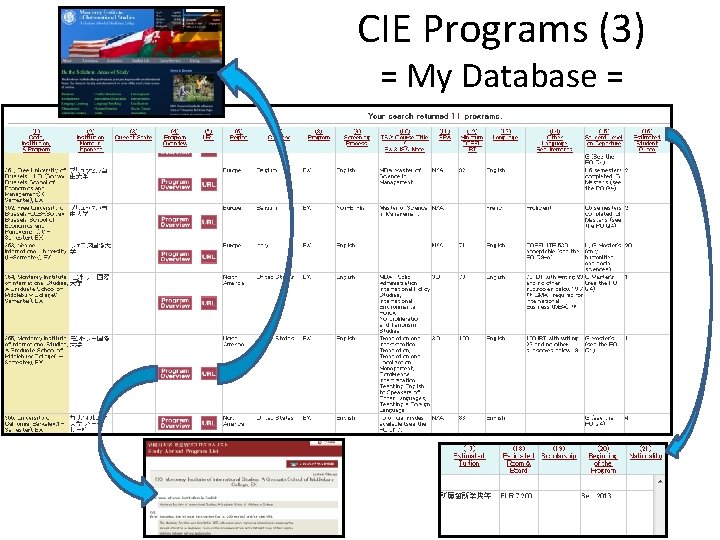 CIE Programs (3) = My Database = 