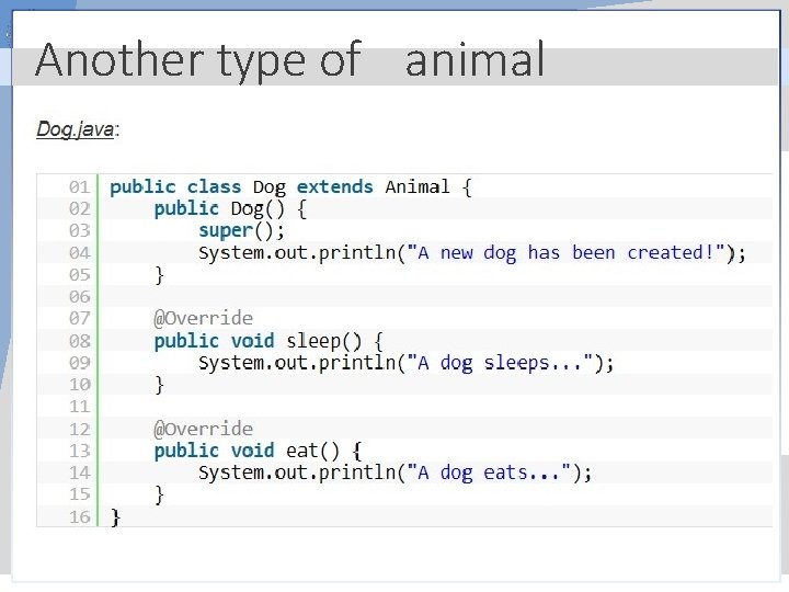 Another type of animal 