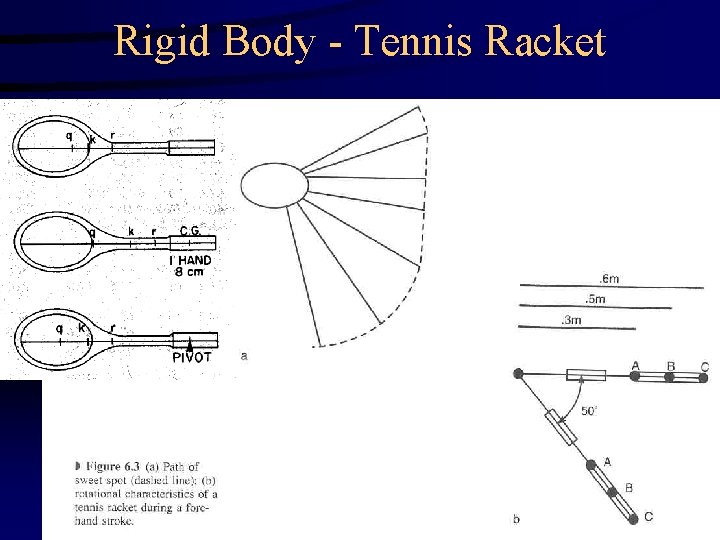 Rigid Body - Tennis Racket 