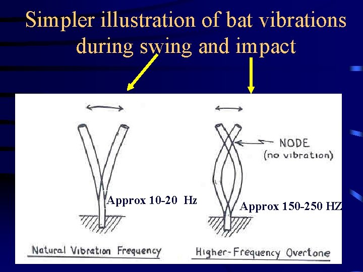 Simpler illustration of bat vibrations during swing and impact Approx 10 -20 Hz Approx