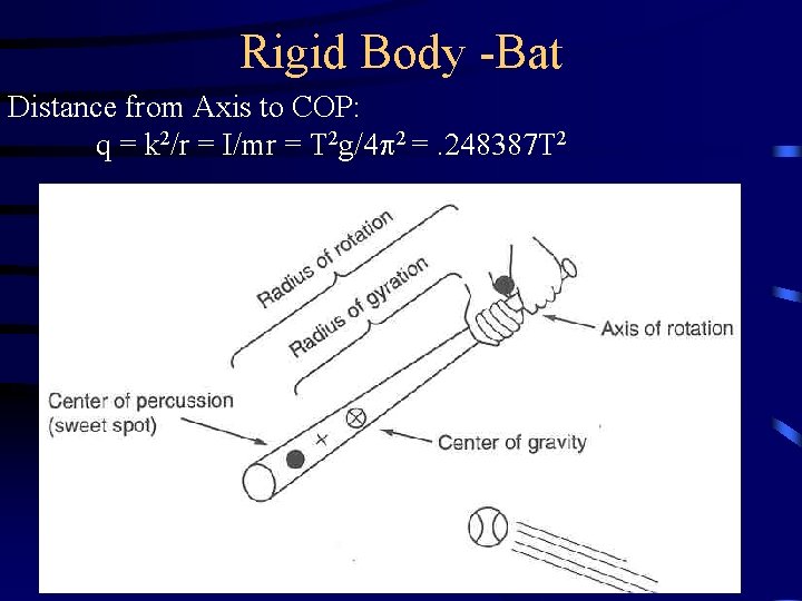 Rigid Body -Bat Distance from Axis to COP: q = k 2/r = I/mr