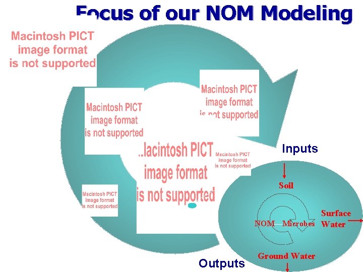 Focus of our NOM Modeling Inputs Soil Surface NOM—Microbes Water Outputs Ground Water 