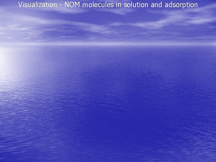 Visualization - NOM molecules in solution and adsorption 