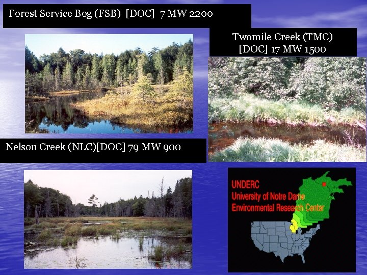 Forest Service Bog (FSB) [DOC] 7 MW 2200 Twomile Creek (TMC) [DOC] 17 MW