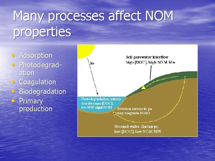 Many processes affect NOM properties • Adsorption • Photodegrad • • • ation Coagulation