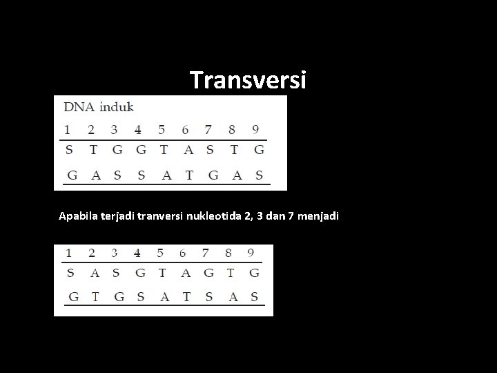 Transversi Apabila terjadi tranversi nukleotida 2, 3 dan 7 menjadi 