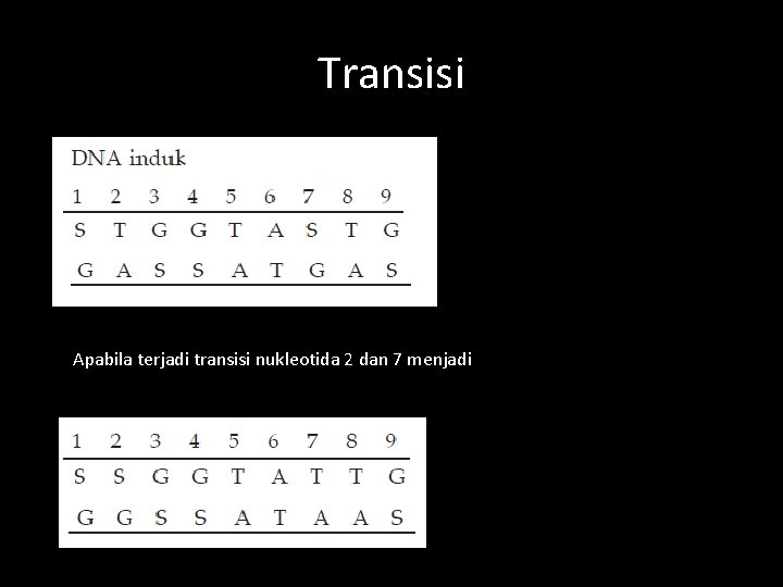 Transisi Apabila terjadi transisi nukleotida 2 dan 7 menjadi 