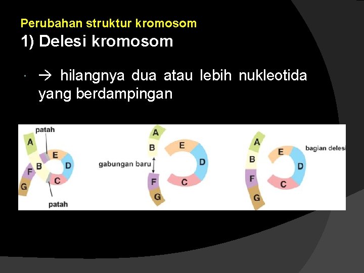 Perubahan struktur kromosom 1) Delesi kromosom hilangnya dua atau lebih nukleotida yang berdampingan 