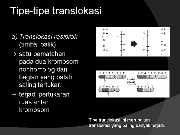 Tipe-tipe translokasi a) Translokasi resiprok (timbal balik) satu pematahan pada dua kromosom nonhomolog dan