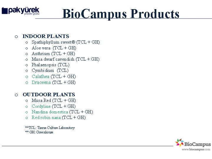 Bio. Campus Products o INDOOR PLANTS o o o Spathiphyllum sweet® (TCL + GH)