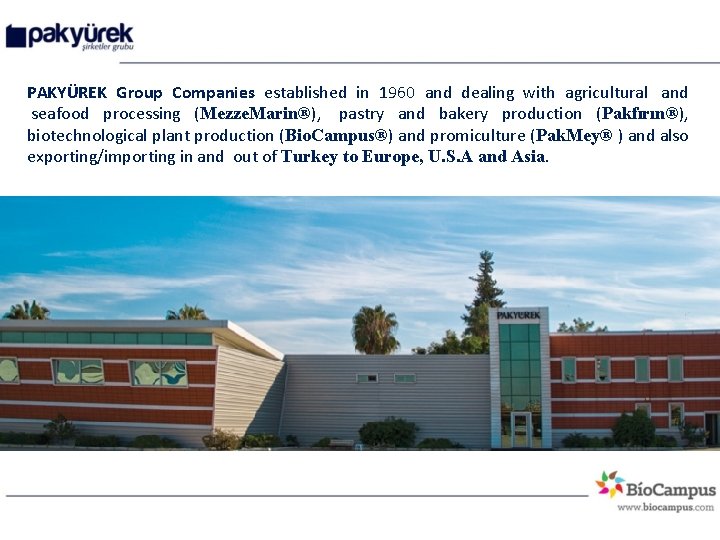PAKYÜREK Group Companies established in 1960 and dealing with agricultural and seafood processing (Mezze.
