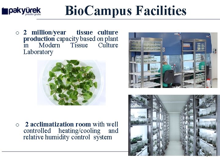 Bio. Campus Facilities o 2 million/year tissue culture production capacity based on plant in